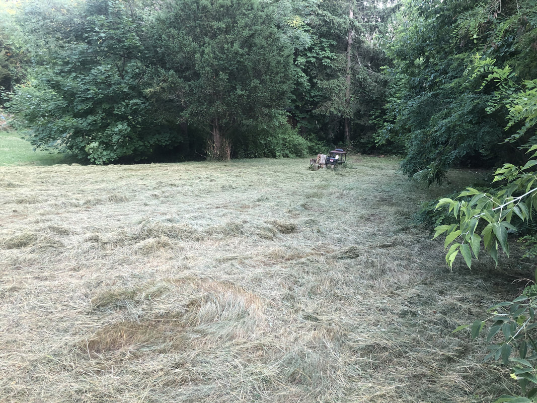 Recently brush‑hogged field with cut grass - Fournier Construction &amp; Excavation